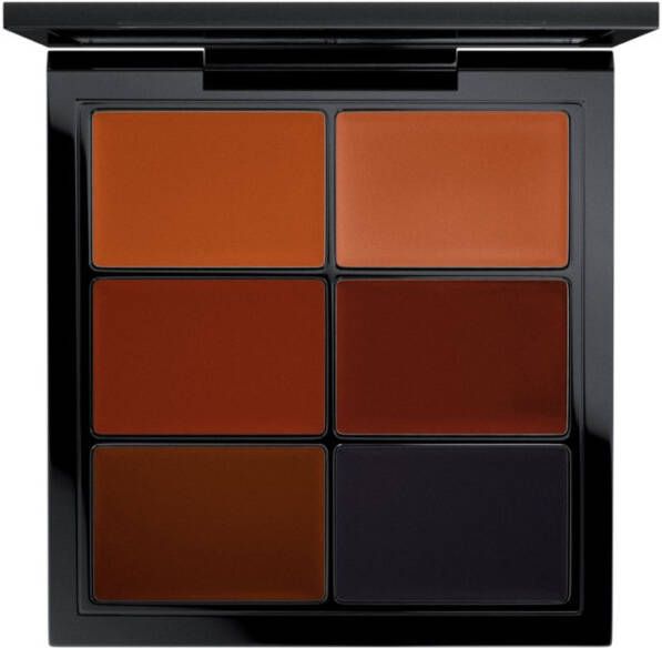 M·, A·, C Pro Palette Studio Finish Skin Corrector concealer